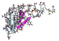 Macrophage Inflammatory Protein (MIP) 1 beta variant