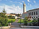 Berkeley glade afternoon.jpg