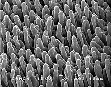 Black silicon made without special gas ambient - laboratory LP3-CNRS Black silicon LP3.jpg