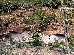 Buntsandsteinwand an der Bortkelter (Bruchschollen)