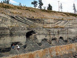 <span class="mw-page-title-main">Sedimentary rock</span> Rock formed by the deposition and cementation of particles