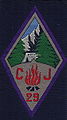 Insigne du CJF 29.