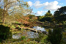 The botanic garden lake in October 2017 Cmglee Cambridge botanic garden lake.jpg