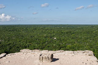 <span class="mw-page-title-main">Yucatán moist forests</span> Tropical moist broadleaf forest ecoregion in Mexico