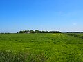 Dorppolder. Huis ten Dorp stond op de plek waar nu de boerderij tussen de bomen staat.