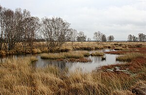 19. Platz: Cku Neu! mit Impressionen aus dem Naturschutzgebiet „Ewiges Meer und Umgebung“