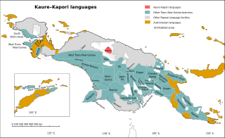 <span class="mw-page-title-main">Kaure language</span> Language in Indonesia