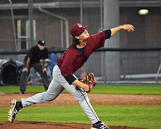 <span class="mw-page-title-main">Kyle Nelson (baseball)</span> American baseball player (born 1996)