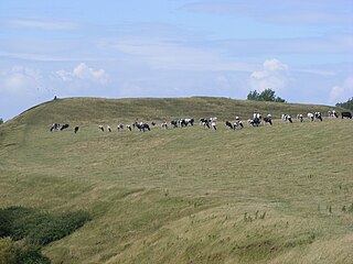 <span class="mw-page-title-main">Maes Knoll</span> Iron Age hillfort in Somerset, England