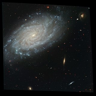 <span class="mw-page-title-main">NGC 3370</span> Galaxy in the constellation Leo