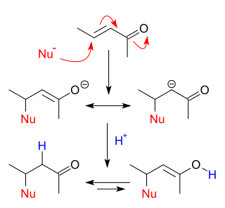 <span class="mw-page-title-main">Nucleophilic conjugate addition</span> Organic reaction