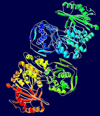 <span class="mw-page-title-main">Phosphoglucomutase</span> Metabolic enzyme