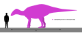 Qianjiangsaurus size