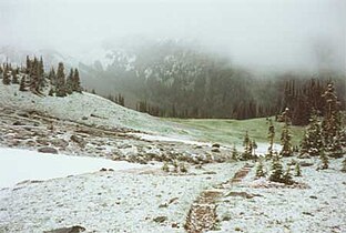 Summerland subalpine meadow