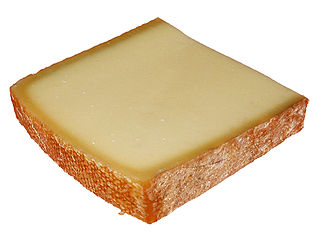 <span class="mw-page-title-main">Bergkäse</span>