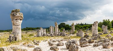 Bosque de Piedra, provincia de Varna, Bulgaria, 2016-05-27, DD 73