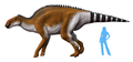 Brachylophosaurus