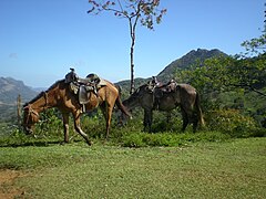 Iconic Cerro Tute mountain seen from Las Brujas near Santa Fe