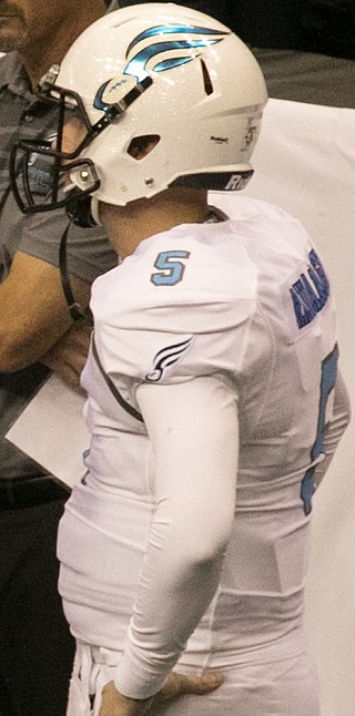 <span class="mw-page-title-main">Dan Raudabaugh</span> American football player and coach (born 1987)