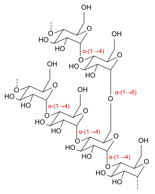 <span class="mw-page-title-main">Dextrin</span> Chemical compound