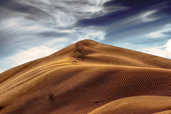 Dunes in Dubai Desert Conservation Reserve Photograph: Lintophilip