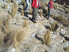 Escales de Pariacaca, camí inca