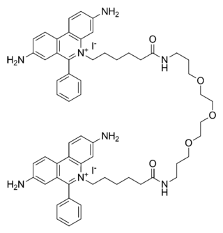 <span class="mw-page-title-main">GelRed</span> DNA gel stain for molecular genetics