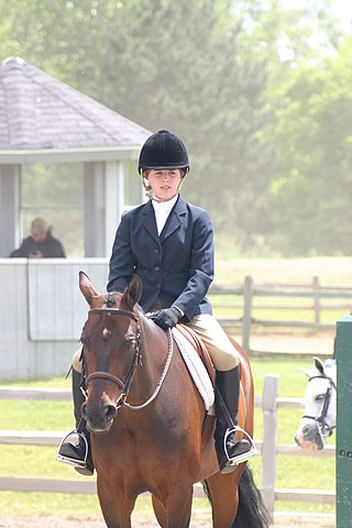 <span class="mw-page-title-main">Hunt seat</span> Competitive equestrian sport