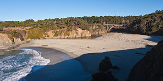 Jug Handle State Natural Reserve