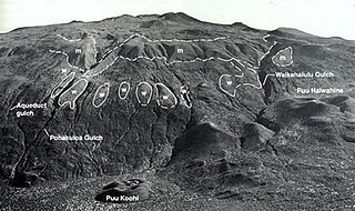 <span class="mw-page-title-main">Mauna Kea Ice Age Reserve</span> United States historic place