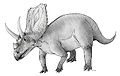 Chasmosaurus, a ceratopsid with large frill.