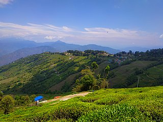 <span class="mw-page-title-main">Darjeeling district</span> District of West Bengal, India