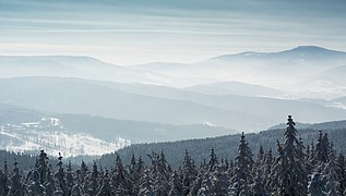 2015 Góry Złote z Borówkowej