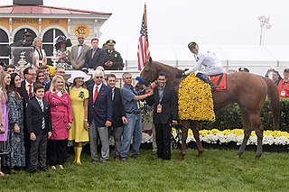 <span class="mw-page-title-main">Justify (horse)</span> American Thoroughbred racehorse, 2018 Triple Crown winner