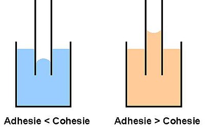 Adhesie-cohesie