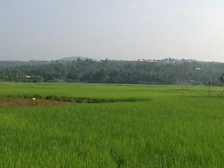 <span class="mw-page-title-main">Pulikkal</span> Village in Kerala, India