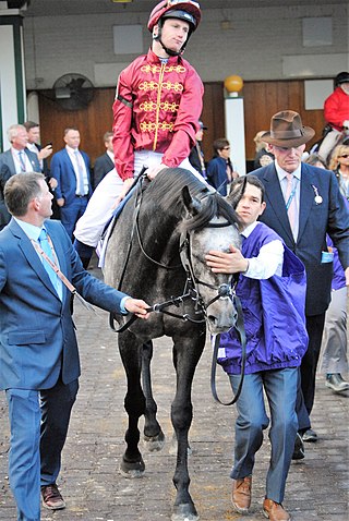 <span class="mw-page-title-main">Oisin Murphy</span> Irish horse racing jockey