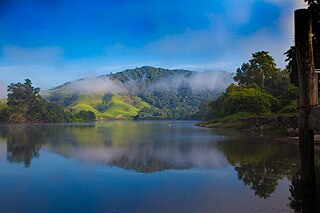 <span class="mw-page-title-main">Daintree, Queensland</span> Town in Queensland, Australia