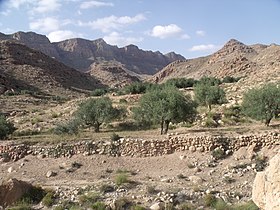 Vue du djebel Orbata à Bou Omrane.