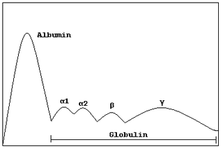 <span class="mw-page-title-main">Serum protein electrophoresis</span> Laboratory test