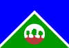 Flag of Alta Floresta d'Oeste