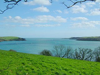 <span class="mw-page-title-main">Helford River</span> Ria in Cornwall, England