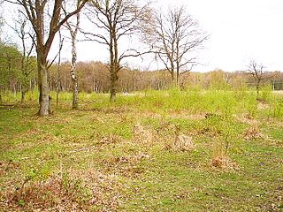 <span class="mw-page-title-main">Hook Common and Bartley Heath</span>