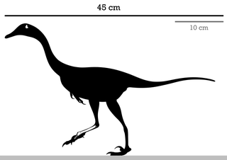 <i>Hulsanpes</i> Extinct genus of dinosaurs