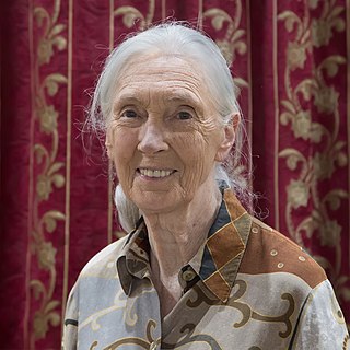 <span class="mw-page-title-main">Jane Goodall</span> English primatologist and anthropologist (born 1934)