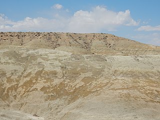 <span class="mw-page-title-main">Kirtland Formation</span> Geological formation in New Mexico and Colorado, United States