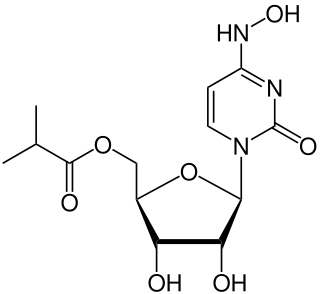 <span class="mw-page-title-main">Molnupiravir</span> Antiviral medication