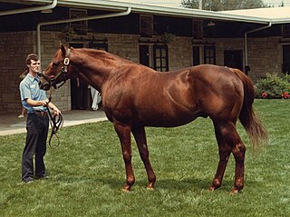 <span class="mw-page-title-main">Raise a Native</span> American-bred Thoroughbred racehorse