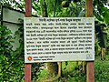 Signboard of "Wari-Bateshwar Fort-City Open air Museum", Narsingdi (August 2019)