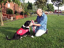 Diabetes detection dog Tinker, and his diabetic owner Tinkerhypoalert.jpg